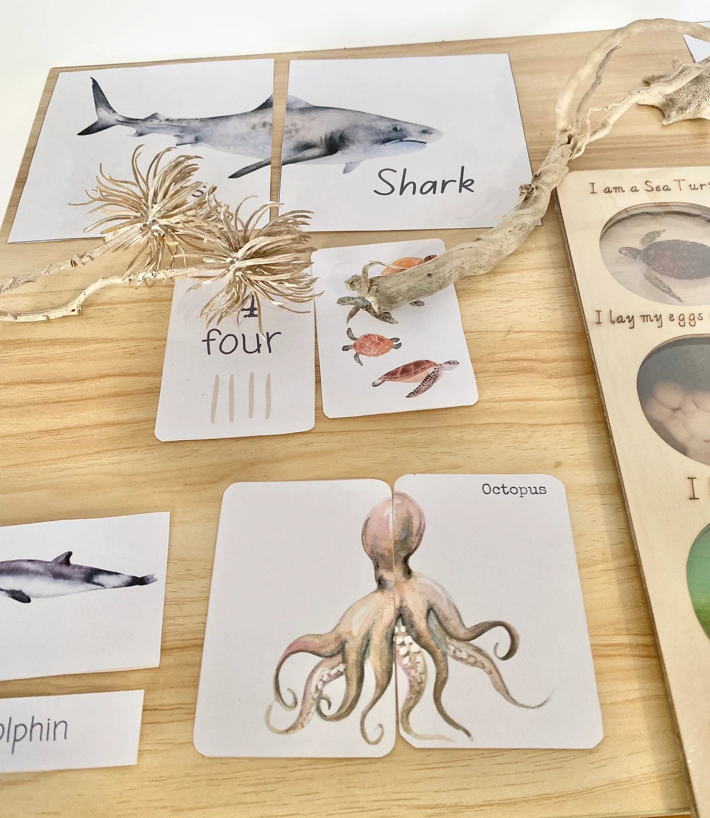 OCEAN animal morning basket (Digital Download)