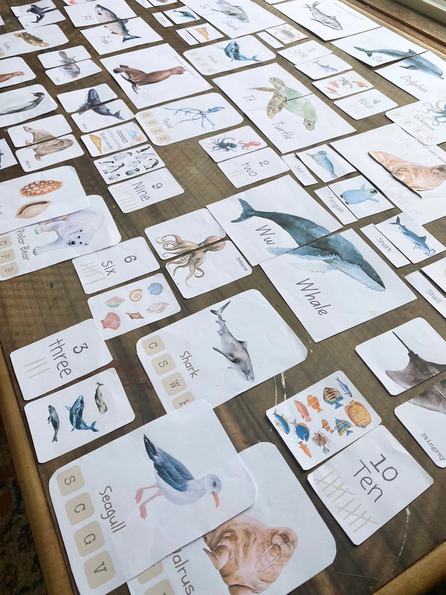 OCEAN animal morning basket (Digital Download)