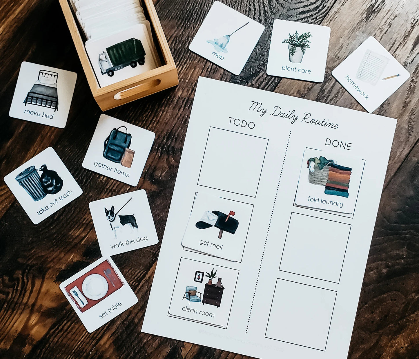 Daily Rhythm Cards and Visual Schedule