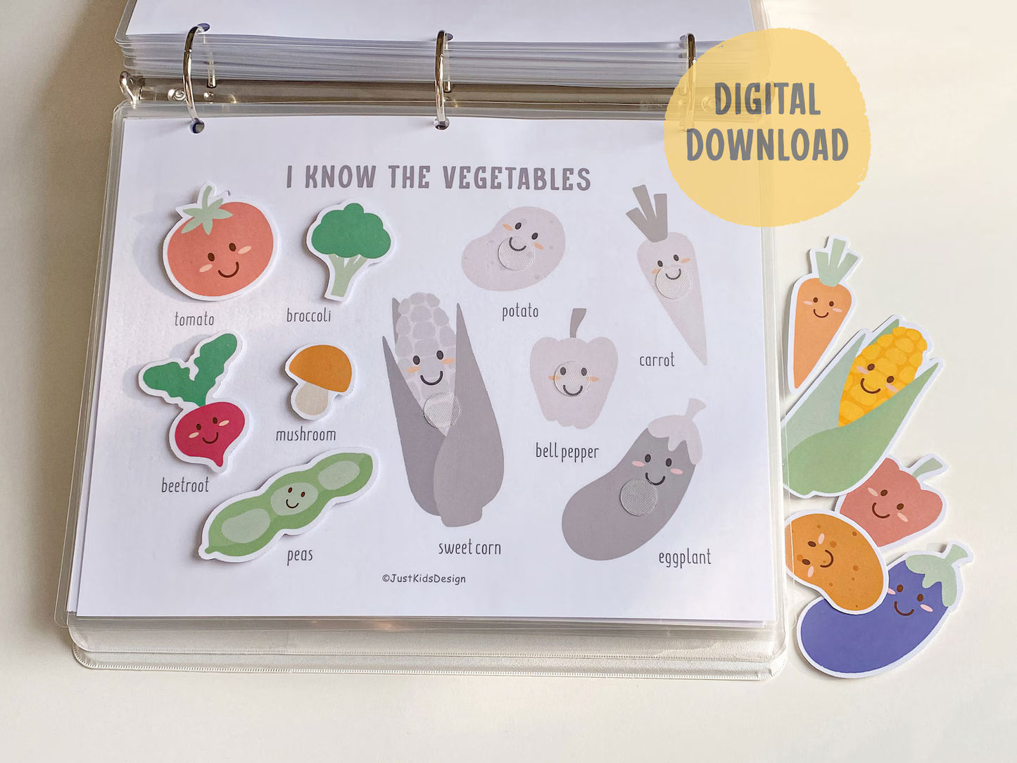 Preschool Learning Binder